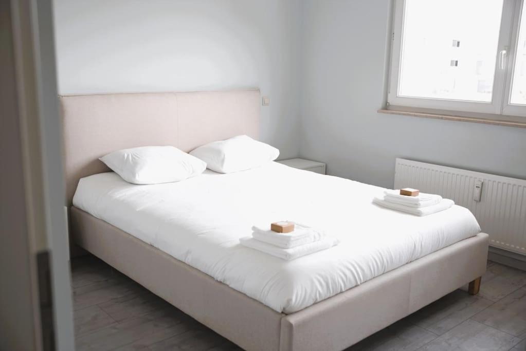 Charming Modern 2 Bedroom Apartment Alzingen Dış mekan fotoğraf
