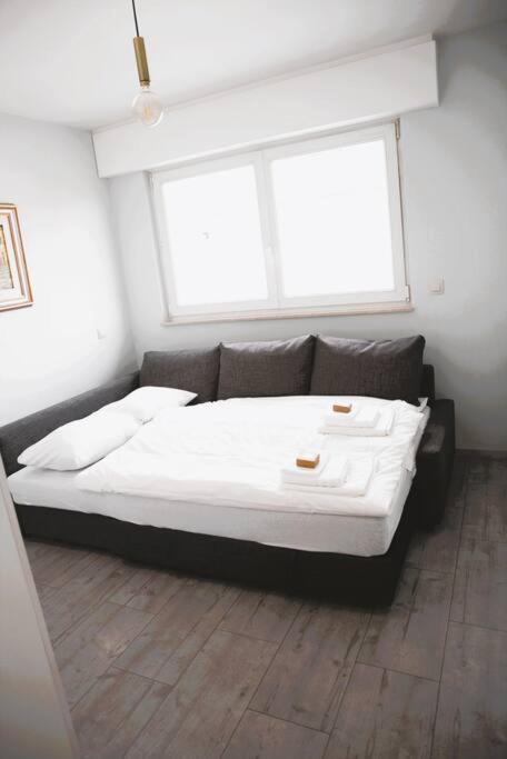 Charming Modern 2 Bedroom Apartment Alzingen Dış mekan fotoğraf